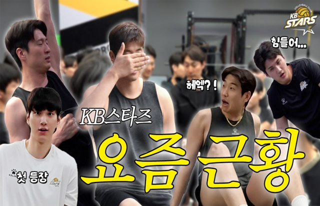 이미지