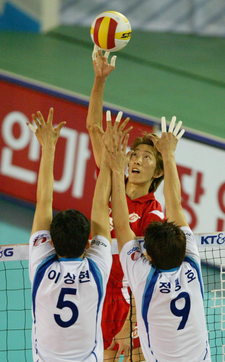 이미지